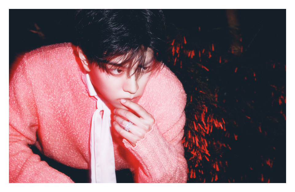 seungmin_hiatus_ stray_kids